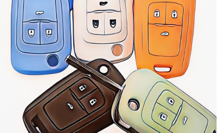 Protectores de Llave